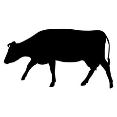 Black silhouette of cash cow on white background