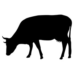 Black silhouette of cash cow on white background