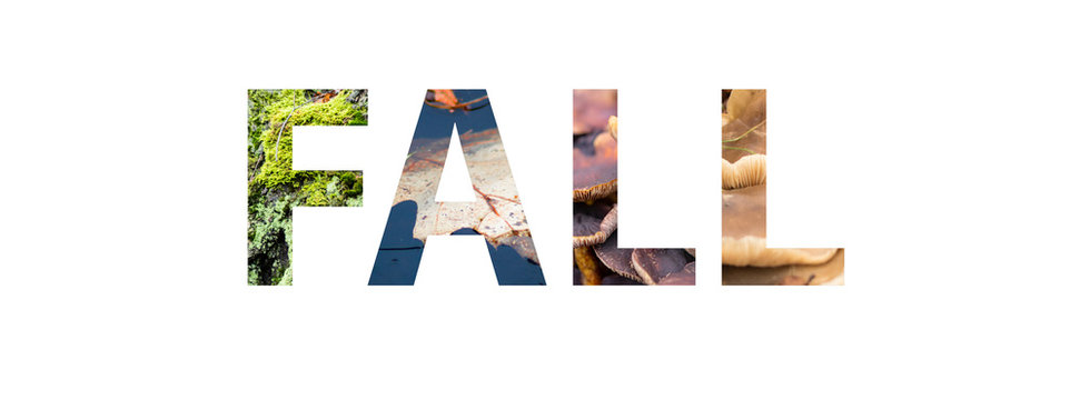 Word FALL with colorful nature images inside the letters