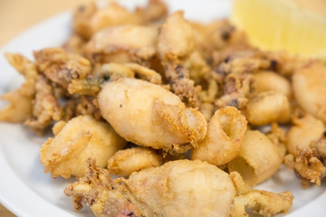 Fried little squids Spanish appetizer