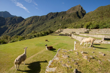 Valle Sagrado, Peru