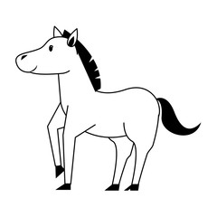 Fototapeta premium Horse wildlife cute animal cartoon in black and white