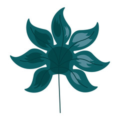 leaf foliage natural botanical