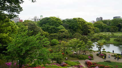 Obraz premium 日本庭園