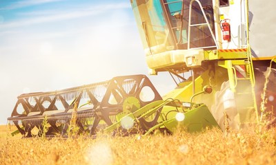 Combine machine with cab harvesting oats on farm field
