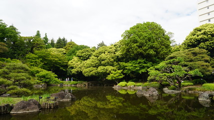 Fototapeta premium 日本庭園