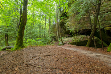 Dismal's Canyon, Alabama