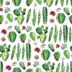 Colorful Seamless pattern with succulents plants, branches and flowers. Perfect for your project, greeting card,packaging,wallpaper,pattern,texture,cover