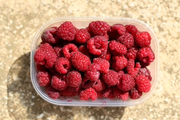 Package full of freshly picked raspberries. Top view.