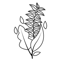 botanical leaf foliage arrangement