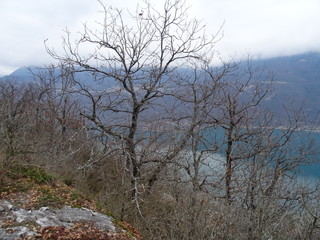 Duingt près du lac d'Annecy