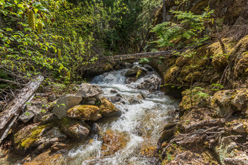 Majestic waterfall in Vancouver, Canada. View with mountain background.