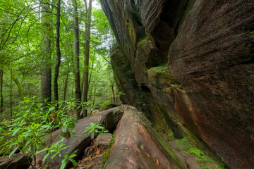 Dismal's Canyon, Alabama