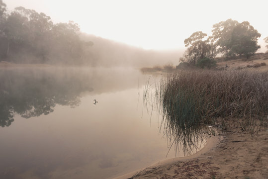 Fog on the river