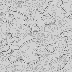 Topographic map lines background. Abstract vector illustration. Contour vector map.