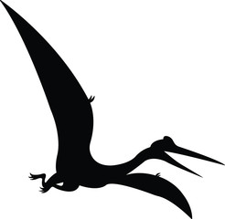 Pteranodon Pterodactyl  vector silhouette illustration isolated on white background © Sweta