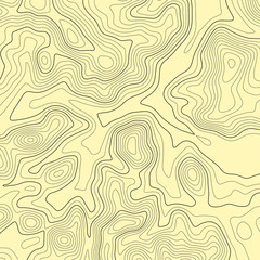 Topographic map lines background. Abstract vector illustration. Contour vector map.