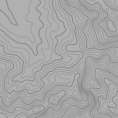 Topographic map lines background. Abstract vector illustration. Contour vector map.