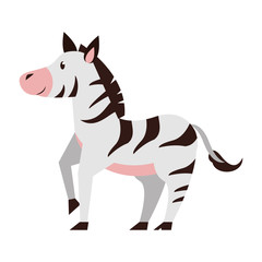 Zebra wildlife cute animal cartoon