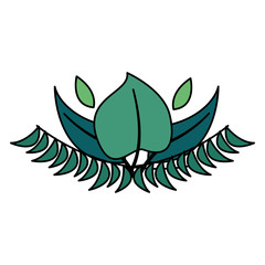 botanical leaf foliage arrangement