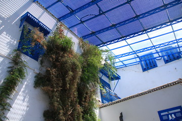 patio ombragé à Sidi Bou Saïd