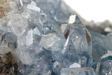 Macro mineral stone Celestine in the breed a white background