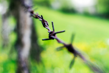 Barbed wire. A barbed wire on a fence with wooden parts - 270492831