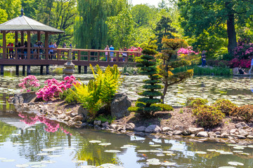 Japanese garden Wroclaw