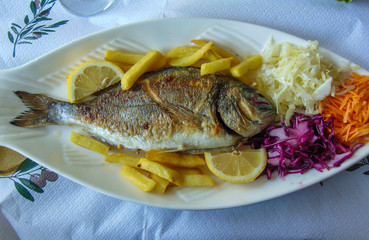Grilled Gilt-head Beam fish