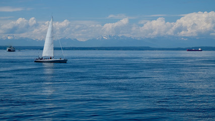 Obraz premium Seattle Sailboat