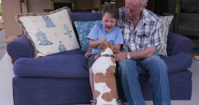 Grandfather and grandson having fun with a small dog sitting on a couch