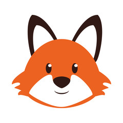 Fox head wildlife cute animal cartoon