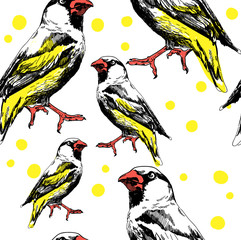 Seamless pattern with leaves and birds . Stylish freehand drawing .
