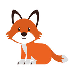 Fox wildlife cute animal cartoon
