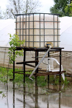 White used intermediate bulk container or IBC plastic tank with metal cage used for water storage put on elevated wooden frame in flooded local garden surrounded with small plants and plastic greenhou