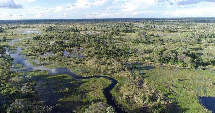 Aerial view of the waterways and lagoons of the Okavango Delta