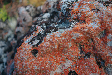 Tongariro Alpine Crossing 20 