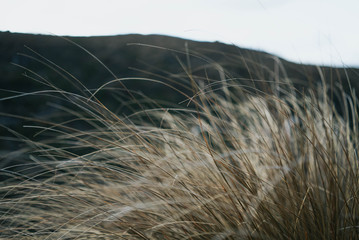 Tongariro Alpine Crossing 25