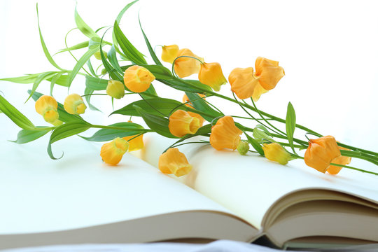 サンダーソニアの花束と本