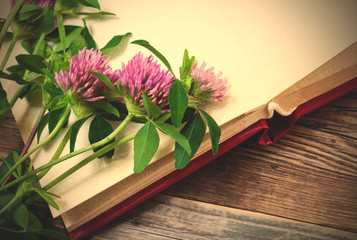 clover flowers and old album