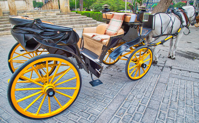 Fototapeta na wymiar Horse carriage waiting for tourists in front of Seville Santa Maria cathedral