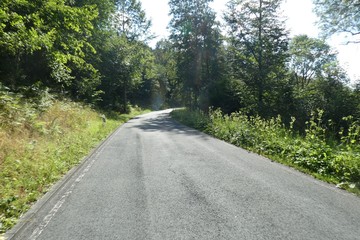 Landstra&szlig;e zwischen  V&ouml;hl und Alt Asel, Asel