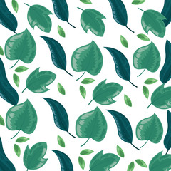 foliage leaves greenery herbs botanical background