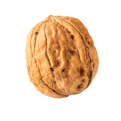 Obraz premium walnut one whole walnut isolated on white clipping path