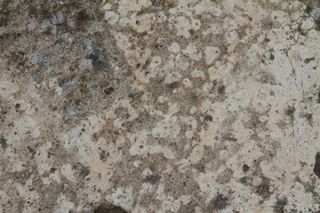 texture of stone