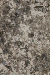 texture of stone