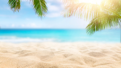 Sunčana tropska karipska plaža s palmama i tirkiznom vodom, otočni odmor, vrući ljetni dan © Mariusz Blach