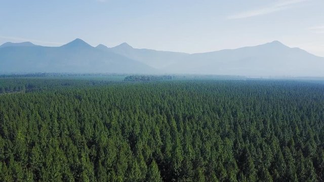 Forests and mountains scenic environmental video