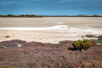 Salt lake in the Coorong National Park, South Australia