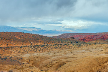 The Fire Wave hiking trail in Valley of Fire State Park.Nevada.USA